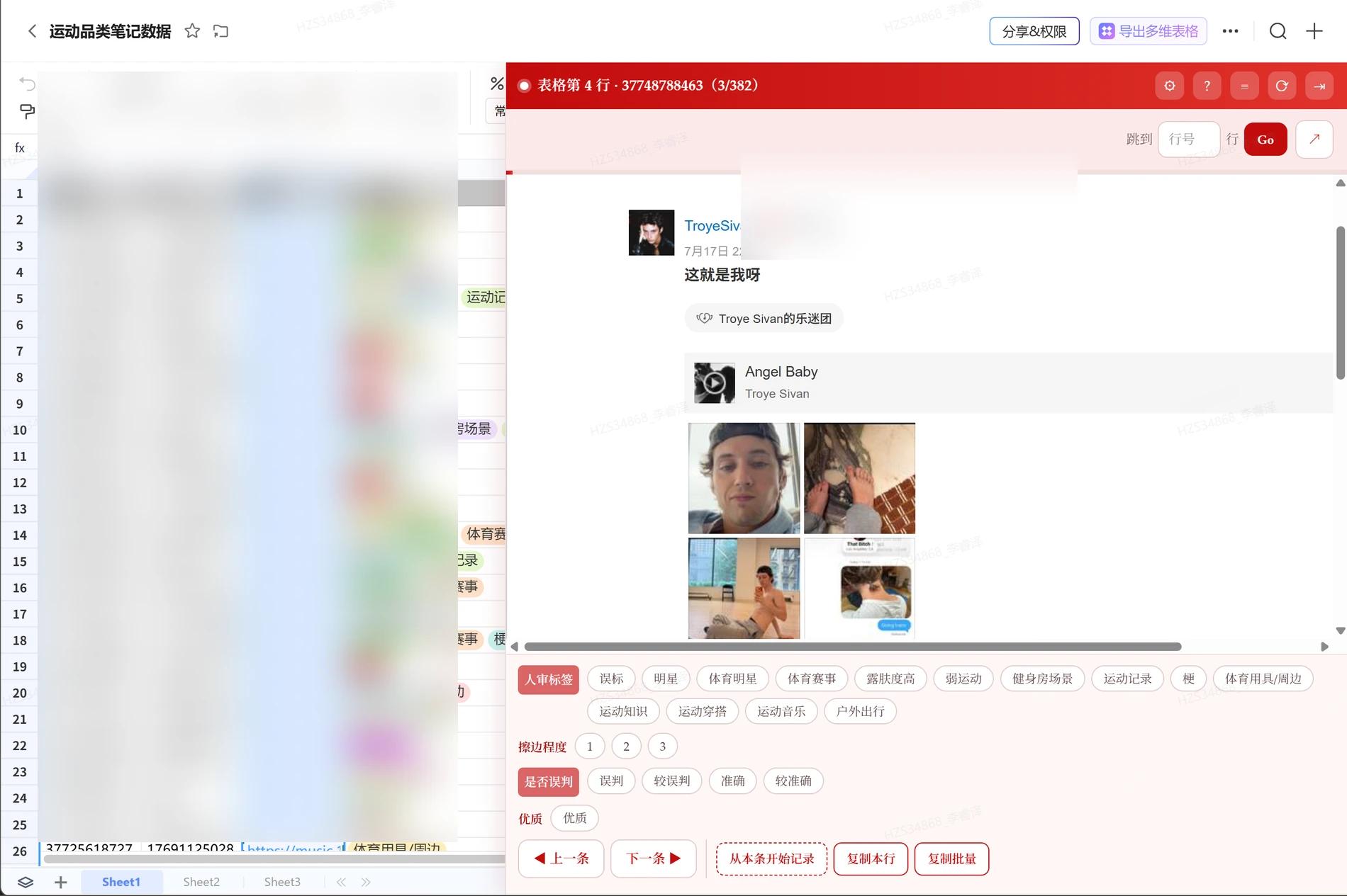 POPO Reviewer 实际审核界面
