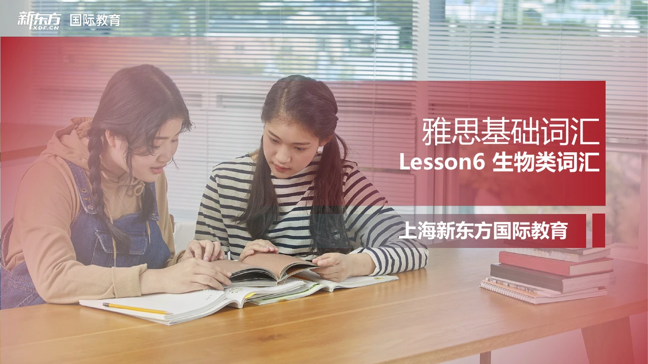 雅思基础词汇备课包页面